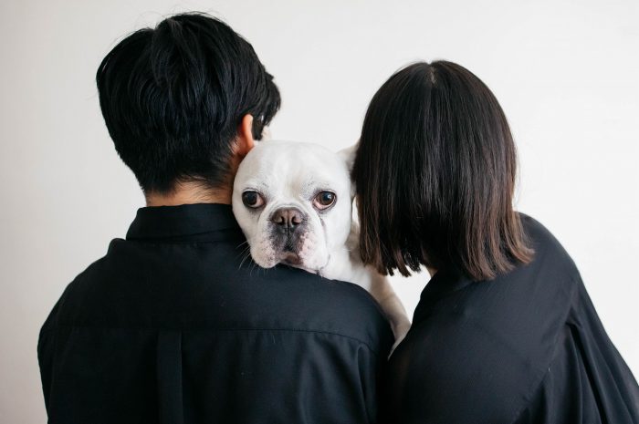 ワンちゃんと一緒にマタニティフォト